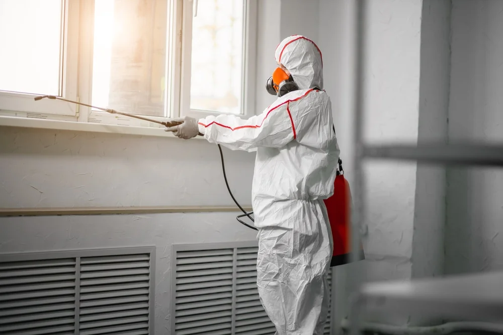 Professional mold remediation services in Londonderry, NH